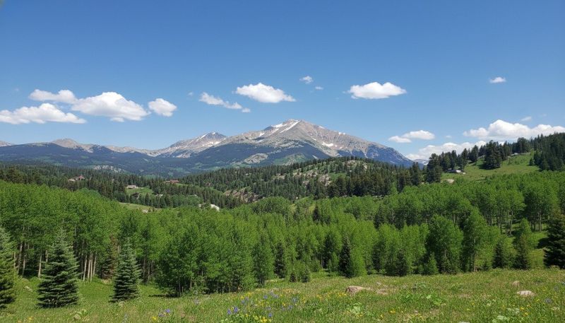 Best Shower Installation pros in Vail, CO